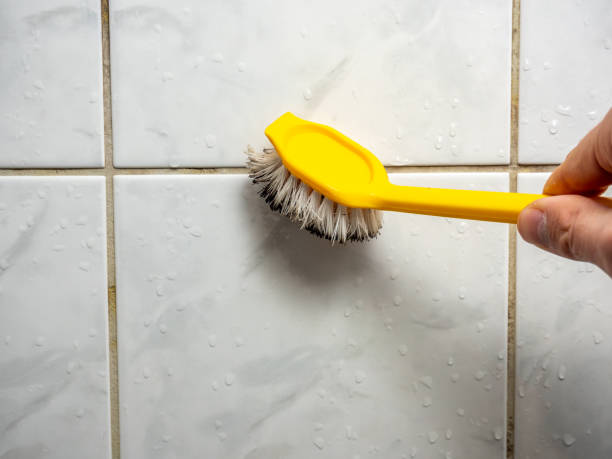 Best Fast Mold Removal  in Fruitvale, CO