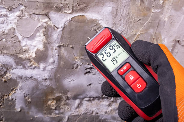 Best Water Damage Restoration  in Fruitvale, CO